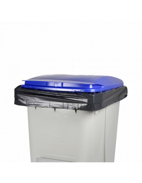 Doublures de Conteneurs 120L Noir - Carton de 100 sacs