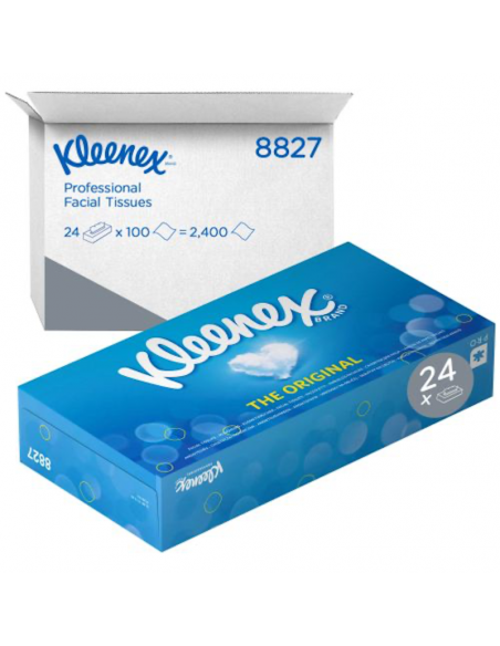 Mouchoirs blancs KLEENEX - 2 plis - Carton de 24 boîtes de 100 feuilles