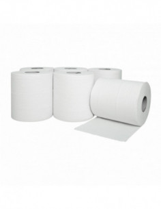 Essuie-tout 450 formats - 2 plis lisse pour dévidage...