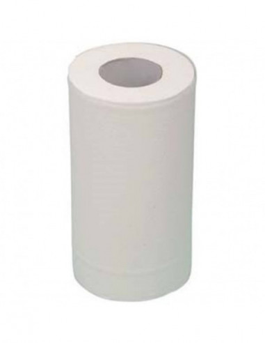 Essuie-tout 200 formats - 2 plis lisse pour...