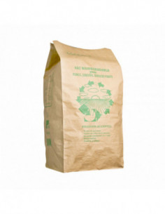 Sac papier déchets verts 100L - Paquet de 25