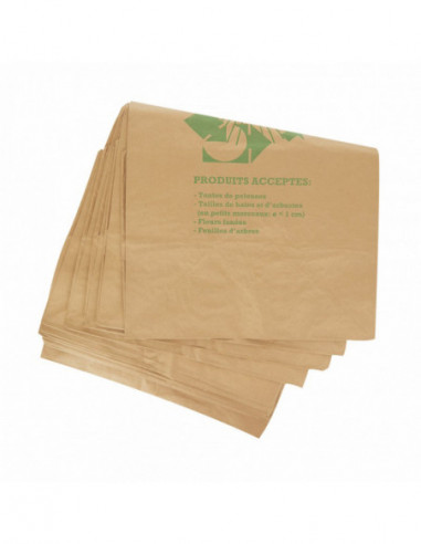 Sac papier déchets verts 100L - Paquet de 25