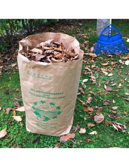 Sac papier déchets verts 100L - Paquet de 25