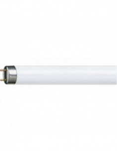 Tube classique haut rendement 36W - PHILIPS - L 1200mm...