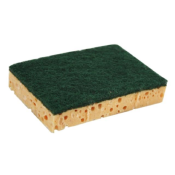 Tampon vert sur ponge vgtale Basic grand modle - Nicols - Sachet de 10
