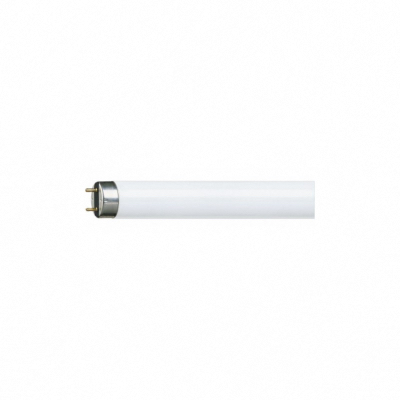 Tube LED G13 8W CW - Longueur 600mm - PHILIPS