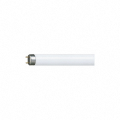 Tube LED G13 8W CW - Longueur 600mm - PHILIPS