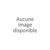 Sacs aspirateur original NUMATIC HEPAFLO 40L - Sachet de 10